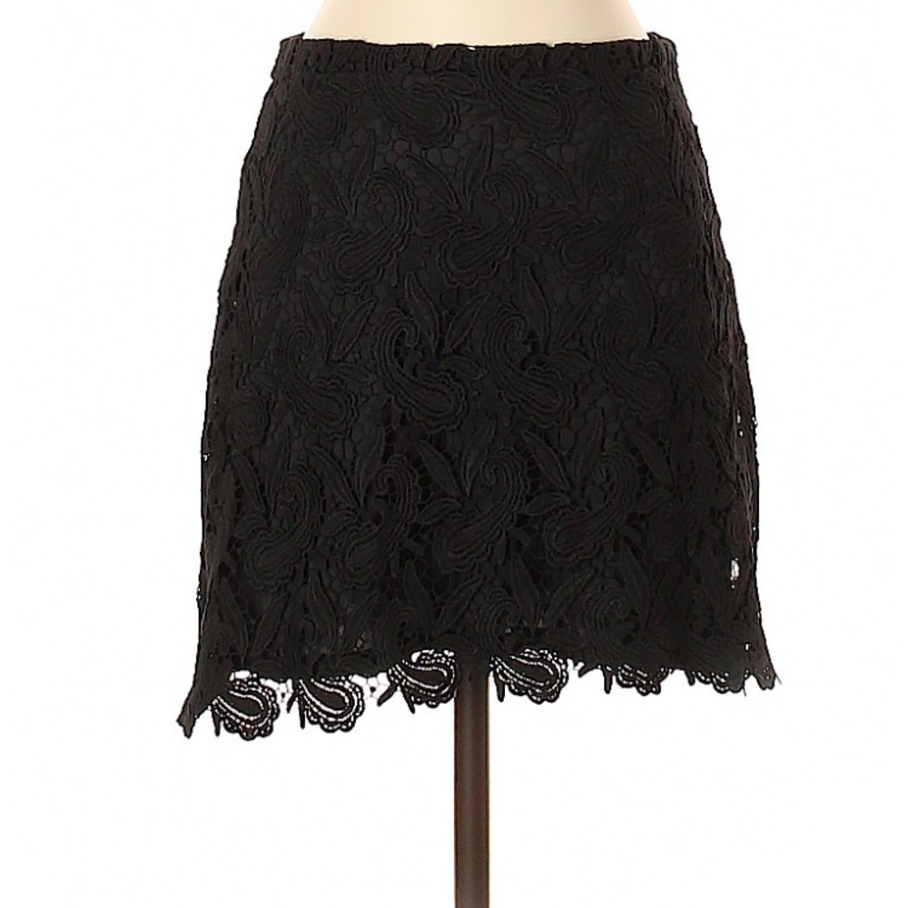 Express skirt